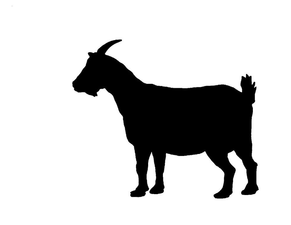 Amazon.com: Pack of 3 Billy Goat Stencils Made from 4 Ply Mat